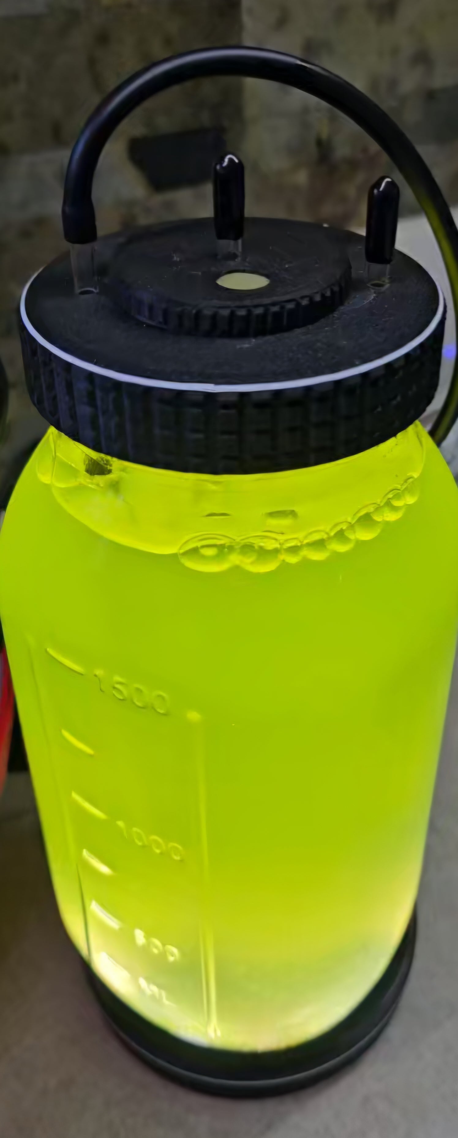 Green Water Culture Kit