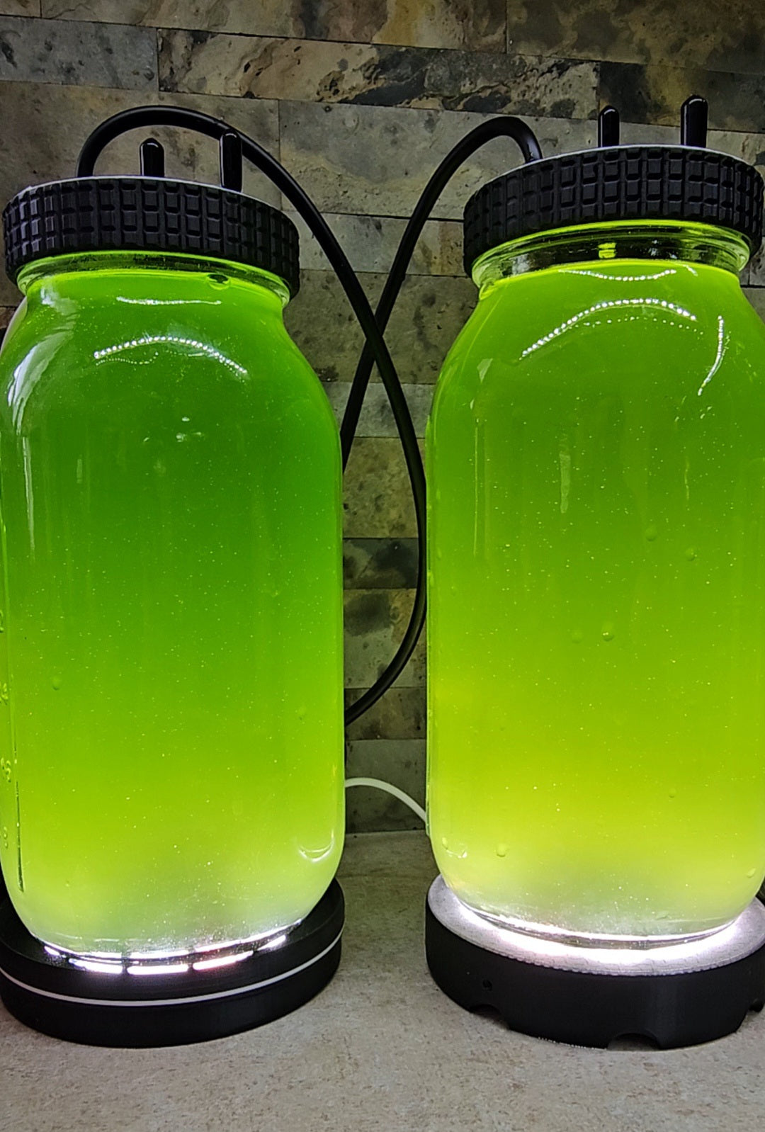 Green Water Culture Kit