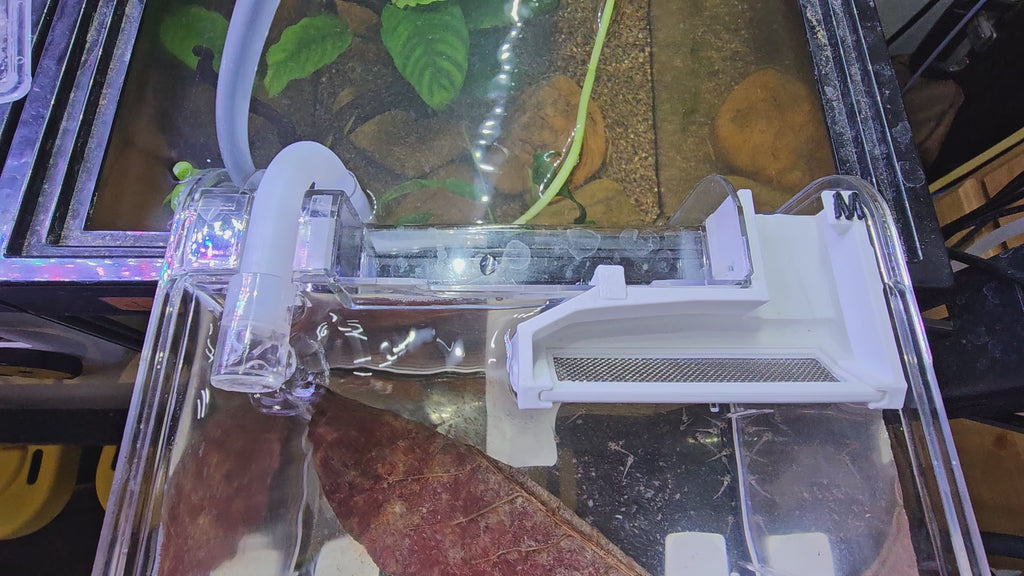 "Medium Fluval Breeder Box" Upgrade Kit | Stainless Steel 30-Mesh Exit Grate | Prefilter Sponge